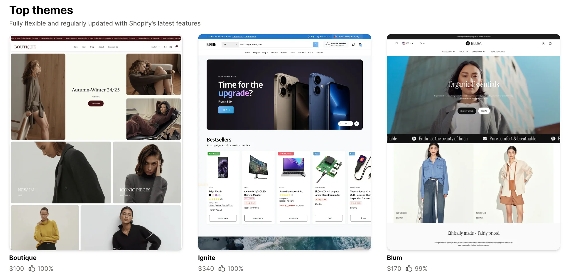 Shopify Theme Design