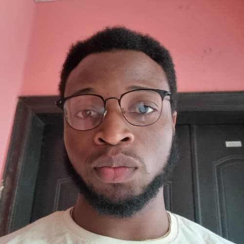 Oluwamuyiwa O. profile