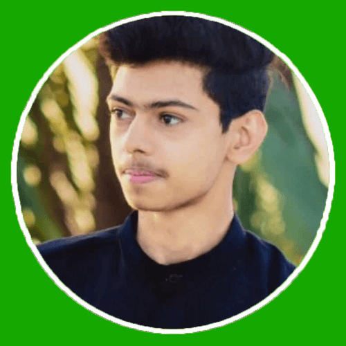 Taha Q. profile