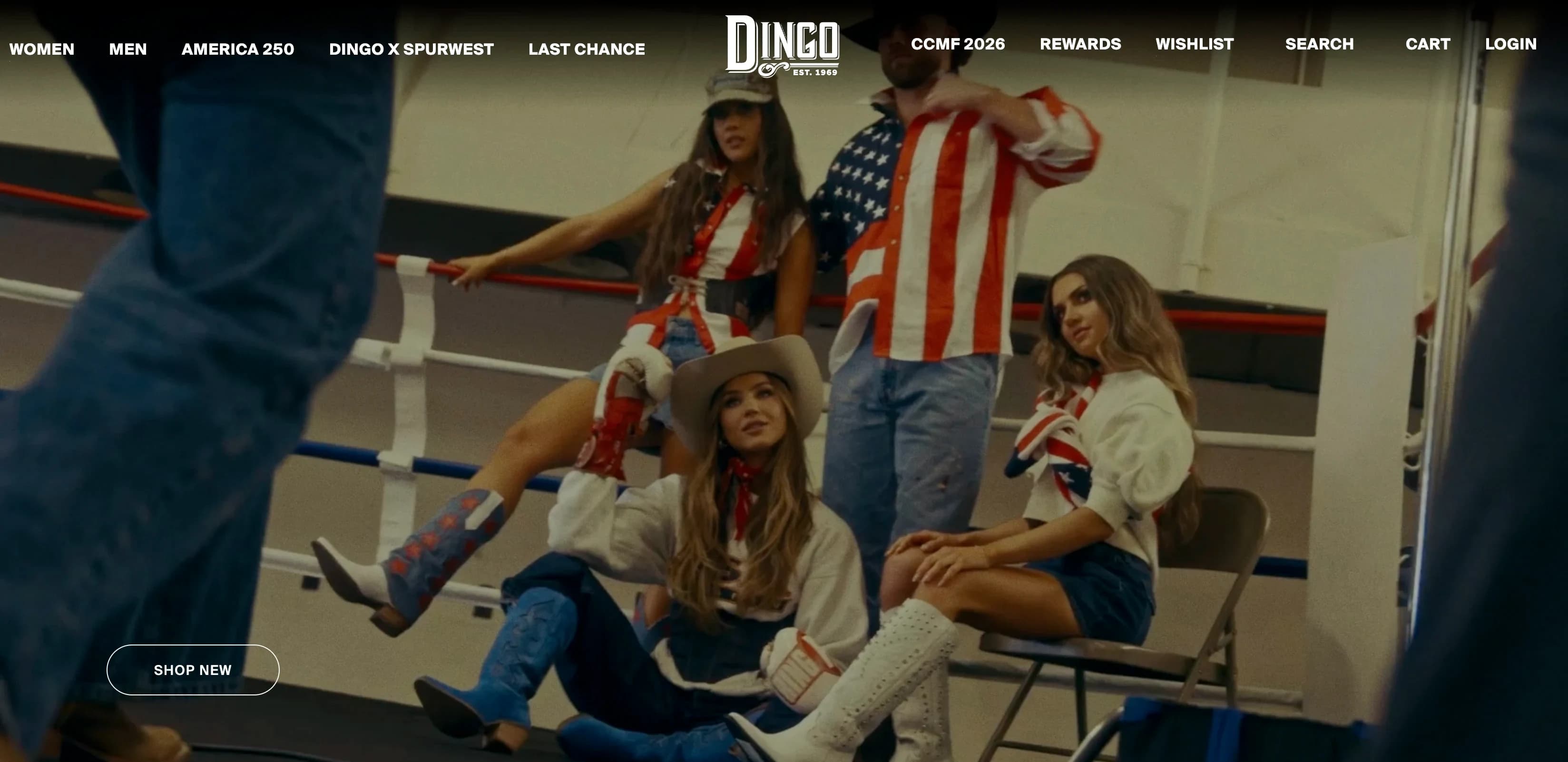 Dingo 1969 project